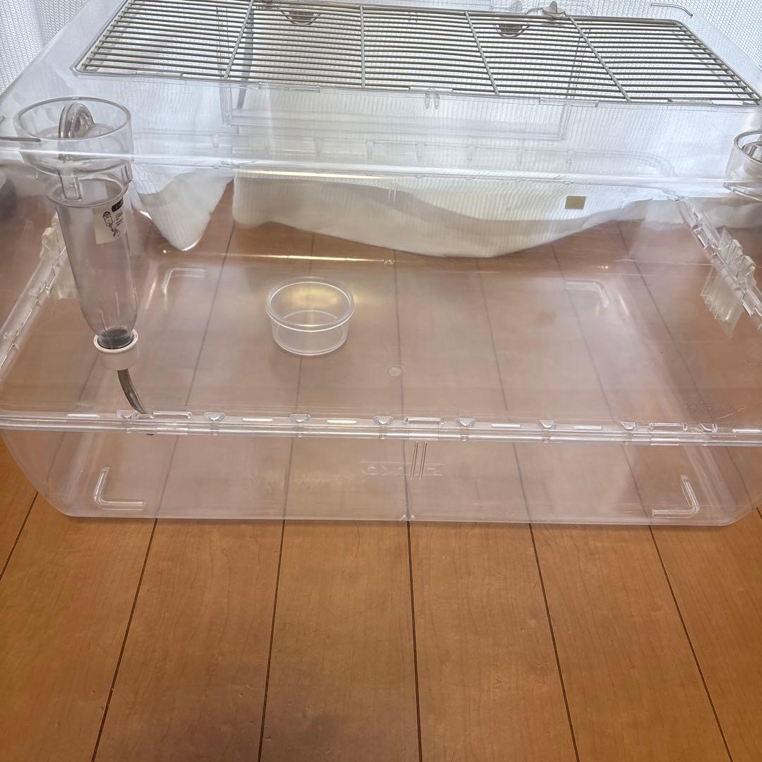 ハムスター大型ケージ♪ ルーミー60(o^^o)