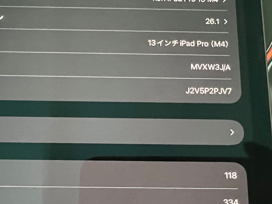 美品　iPadPro13インチM4 Wi-Fi+セルラー/1TB/ブラック