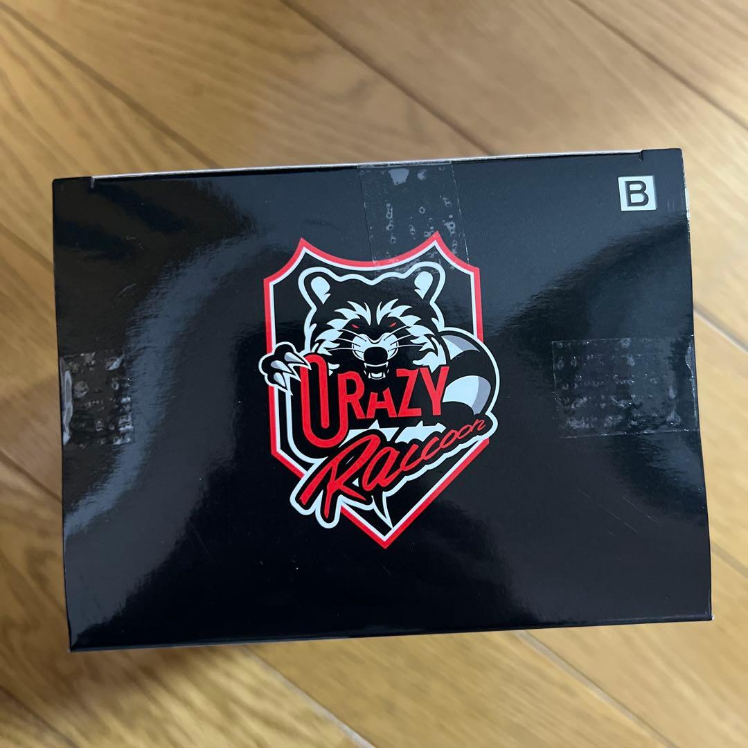 Crazy Raccoon　デスクトップフィギュア バニラ 2種 12箱セット