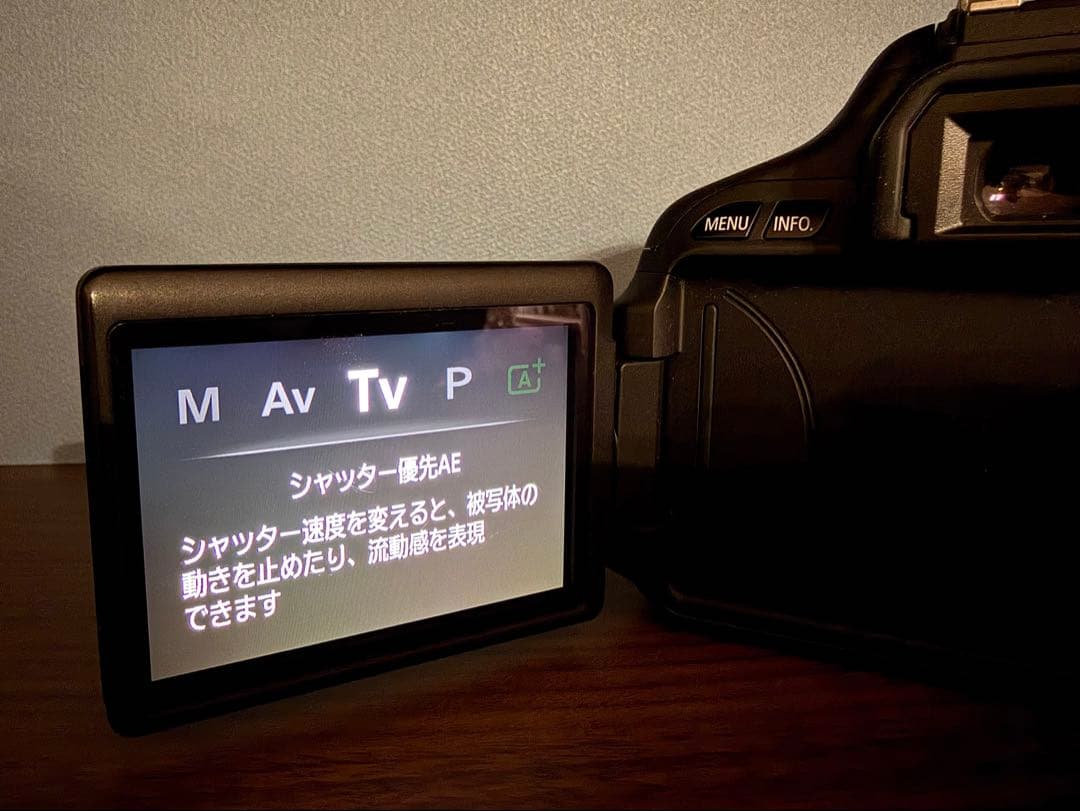 Canon EOS Kiss X5 本体 BODY マニュアル本SDカード付