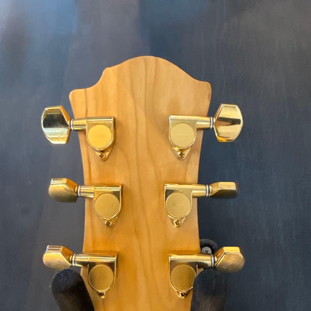 hide ヒデ　サイケペイント　モッキンバード　フェルナンデス