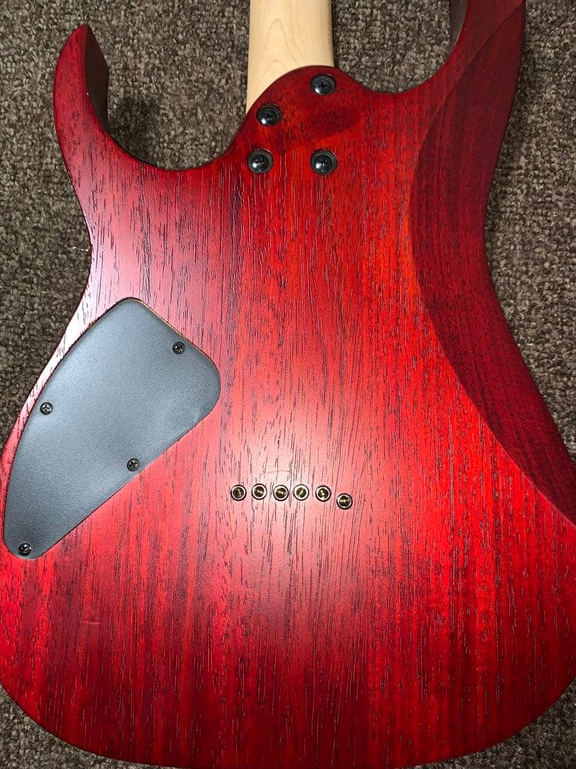 ギター Ibanez RG421PB-SBF