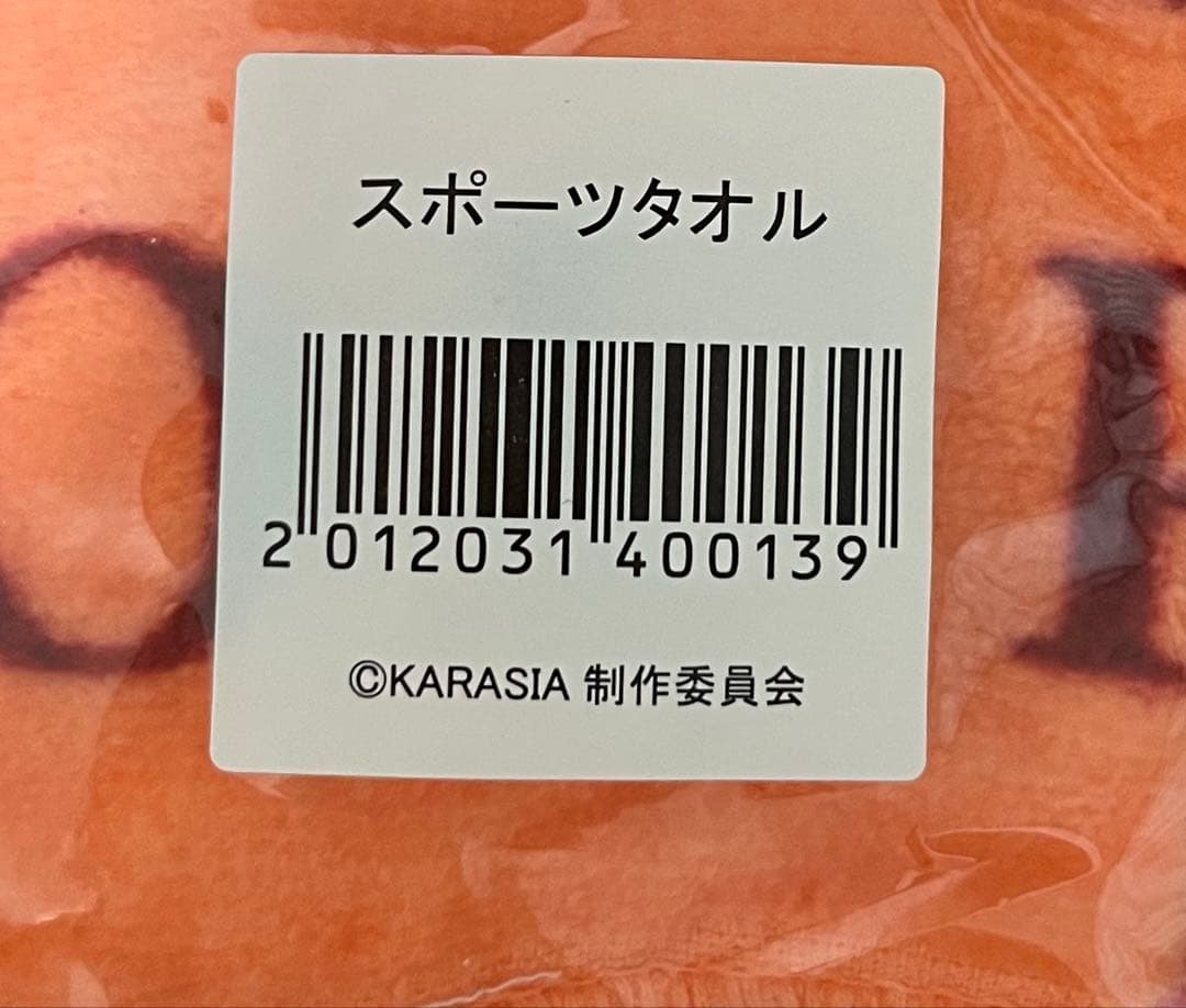 【未開封】KARA グッズ 6点セット KARASIA ライブタオル
