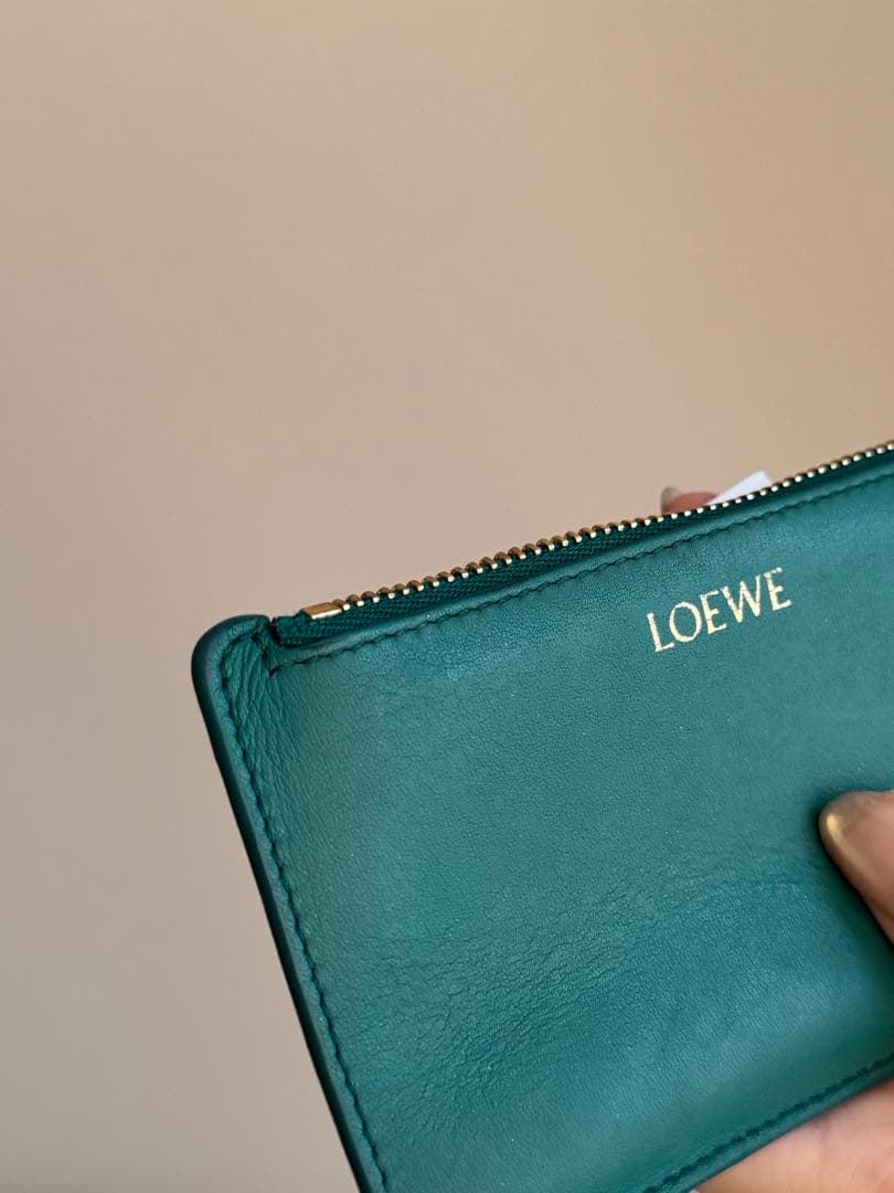 LOEWE グリーン レザー ケース