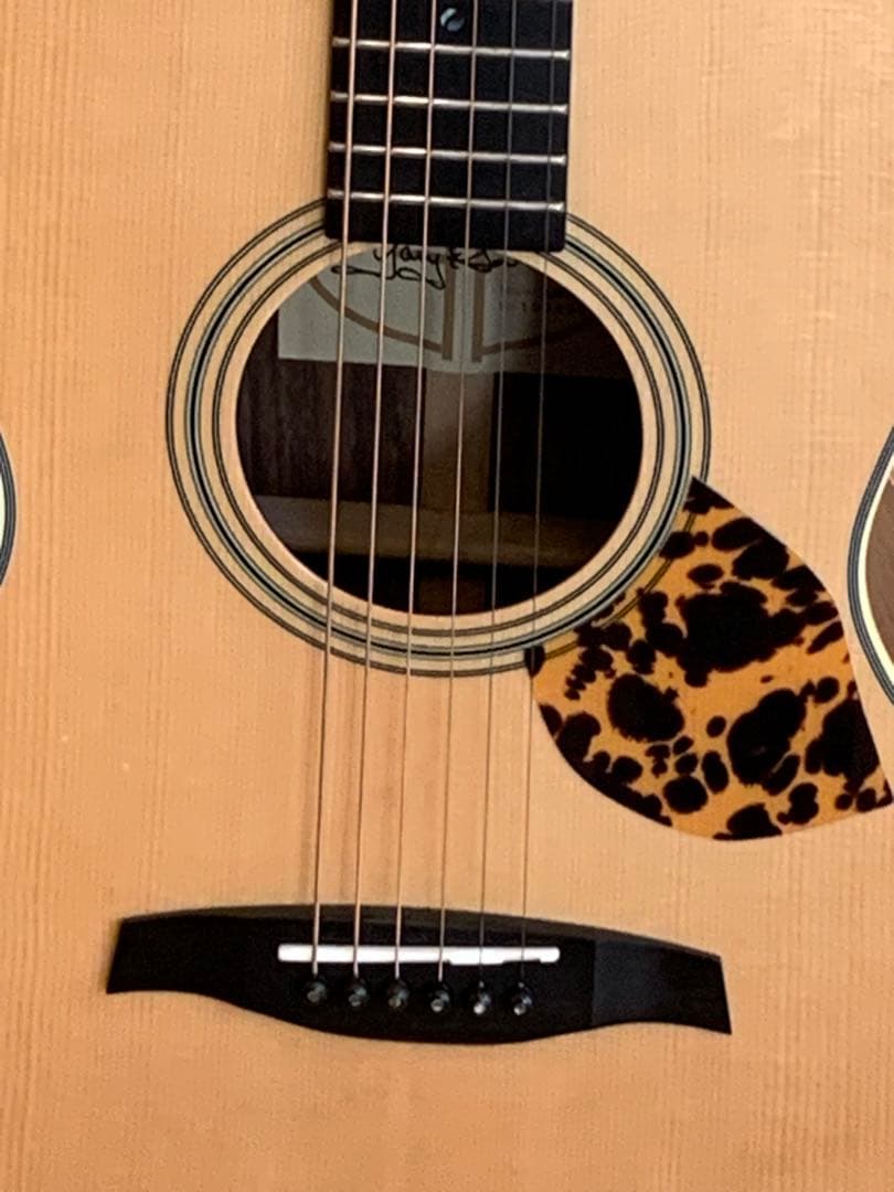 Gary E. Levinson LS-43 アコースティックギター