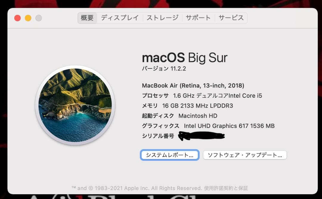 Apple MacBook Air ゴールド13インチ2018 カスタムあり