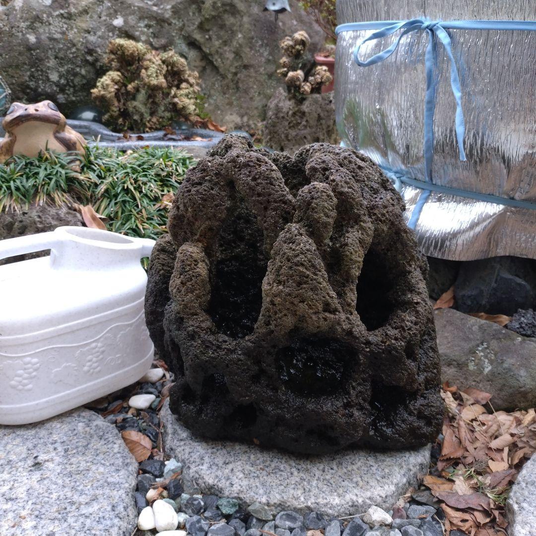 黒い溶岩石 水槽用石 大型