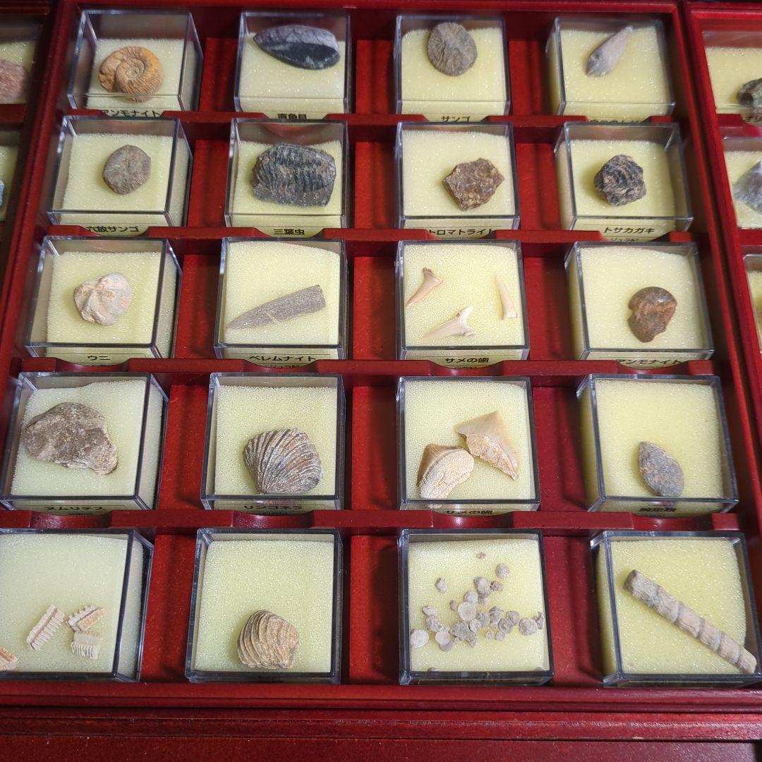 トレジャーストーン　全巻セット