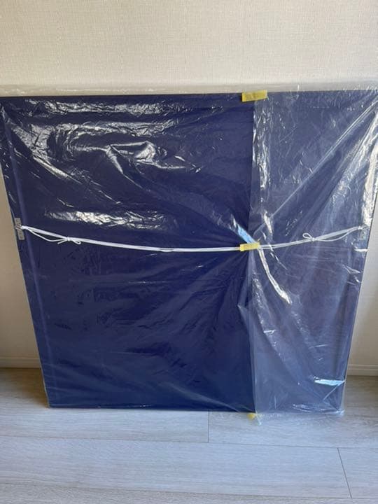 新品 キースヴァンドンゲン Kess Van Dongen スカーフ額装品