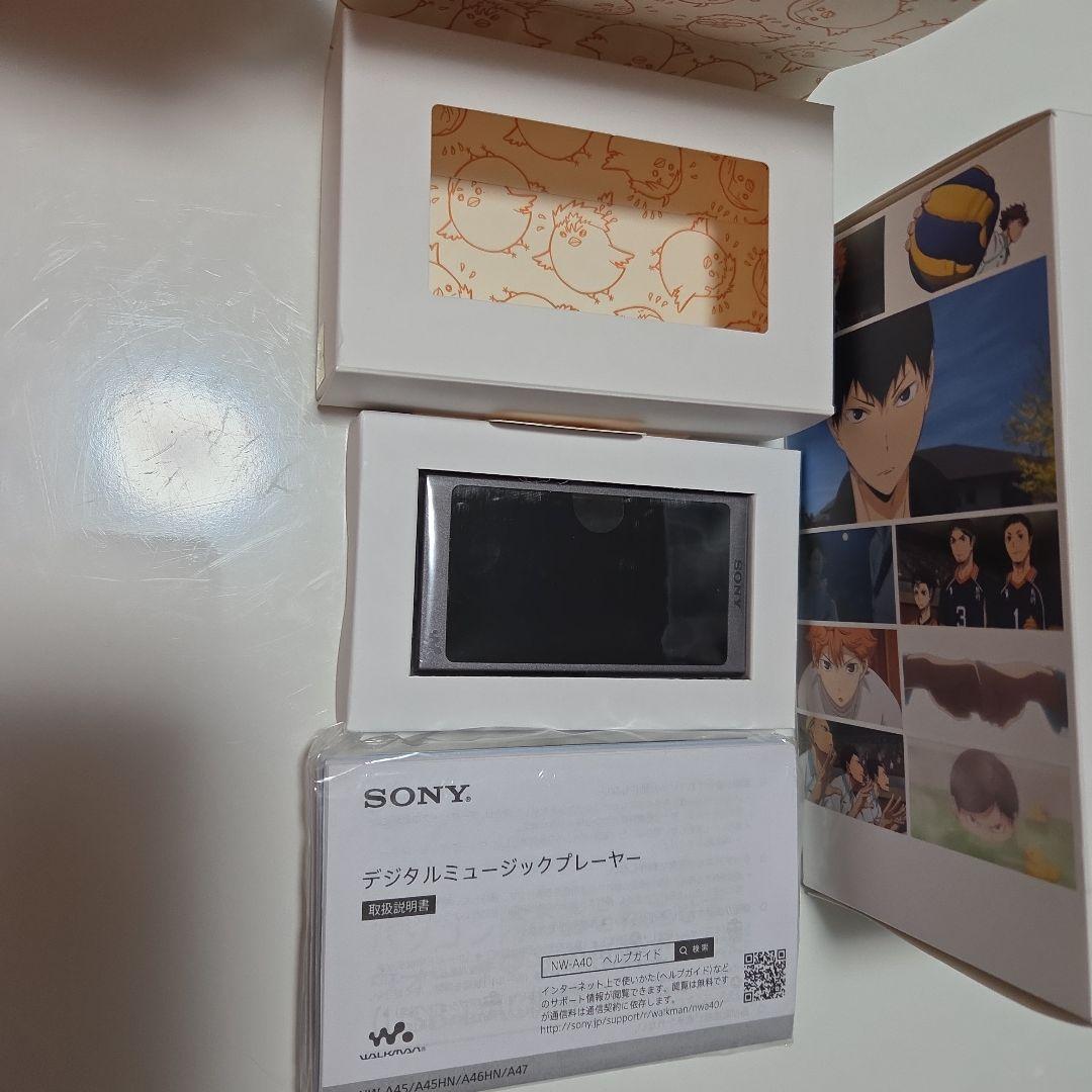 SONY NW-A45 ハイキュー!! デジタル音楽プレイヤーセット