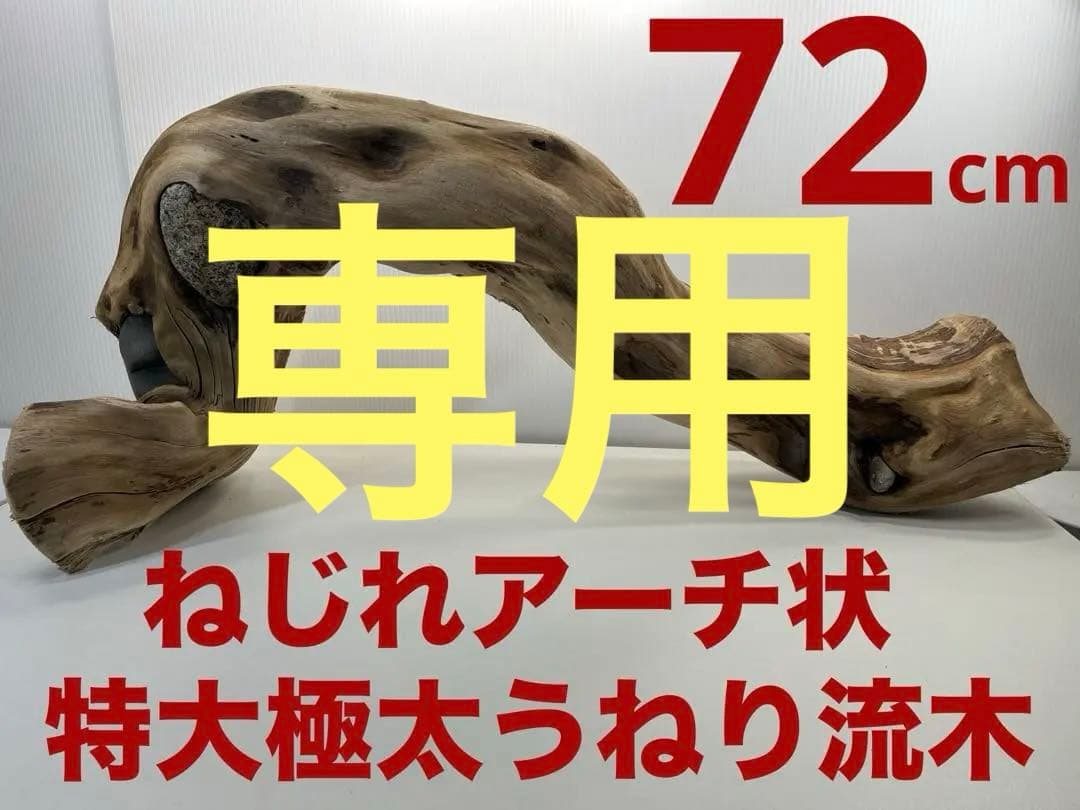 m24特大流木 アク抜き済み 爬虫類シェルター 登り木 レイアウト用 インテリア
