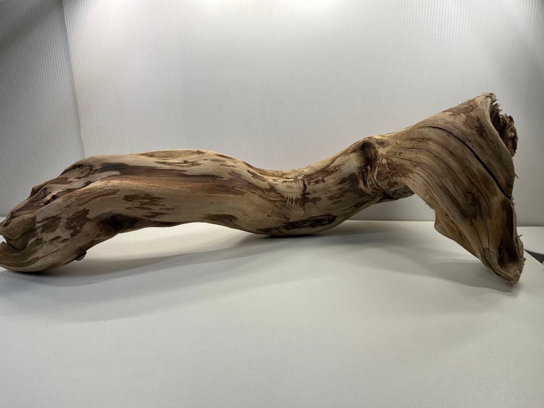 m24特大流木 アク抜き済み 爬虫類シェルター 登り木 レイアウト用 インテリア