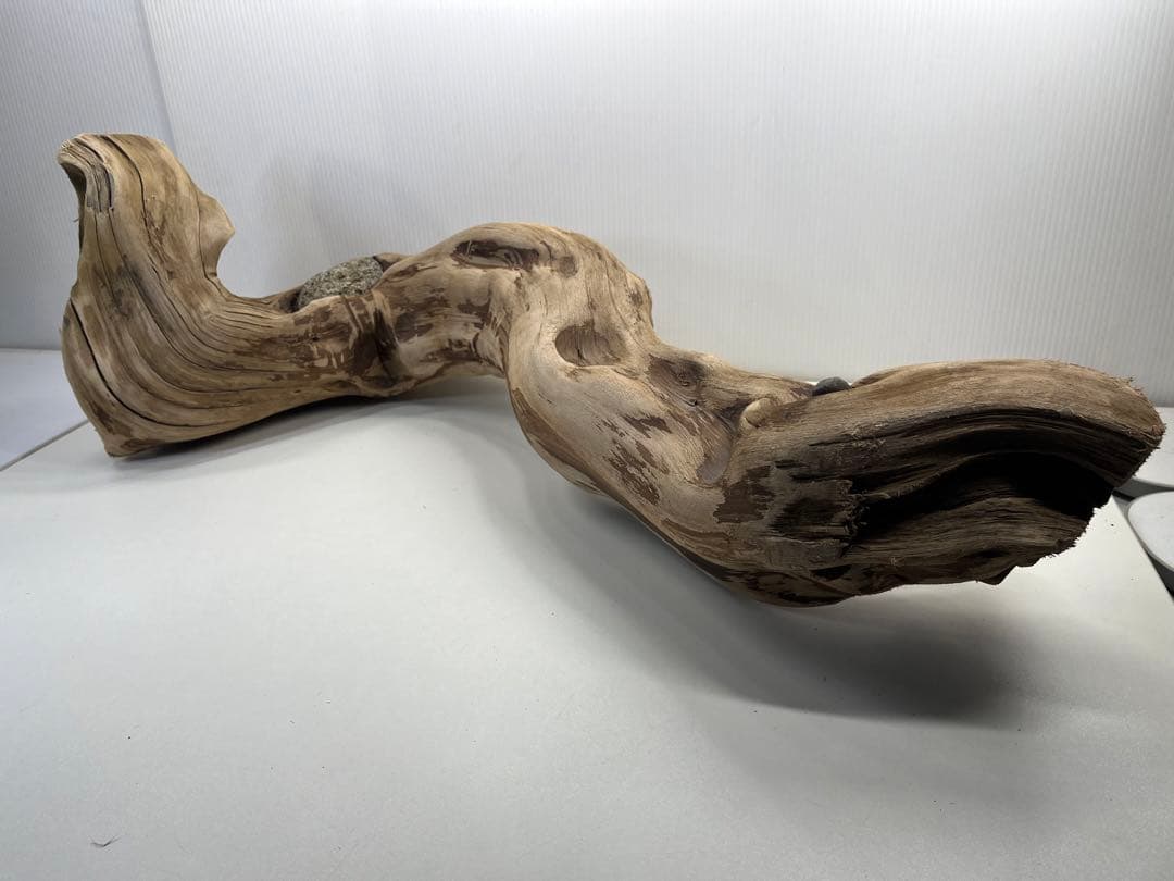 m24特大流木 アク抜き済み 爬虫類シェルター 登り木 レイアウト用 インテリア