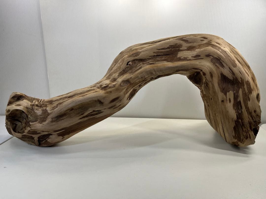 m24特大流木 アク抜き済み 爬虫類シェルター 登り木 レイアウト用 インテリア