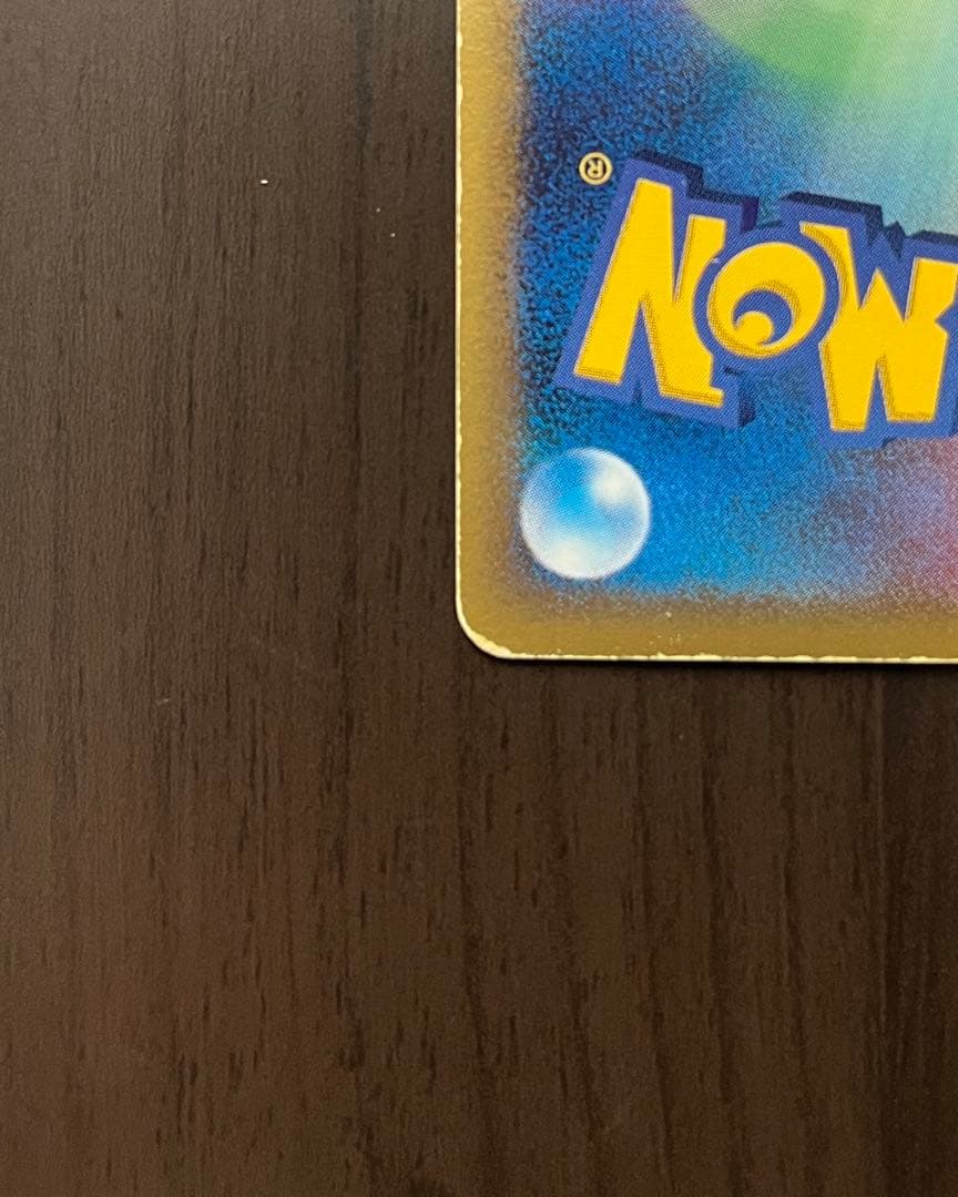 午*ん様 リザードン δ デルタ種