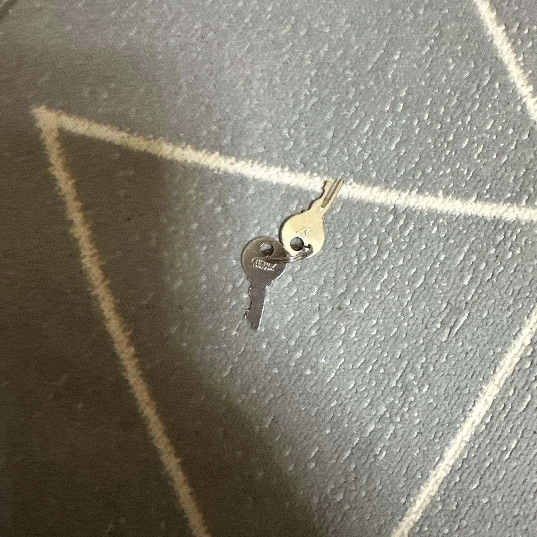 ゆうみさん専用グローブトロッターオレンジ キャリーケース