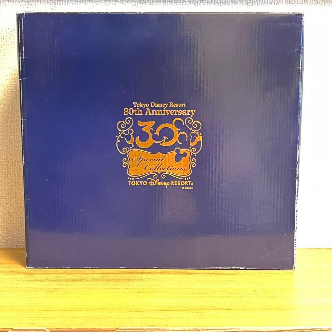 【ディズニーランド30周年スーベニアスプーン】 ケース付き　東京　TDL TDR