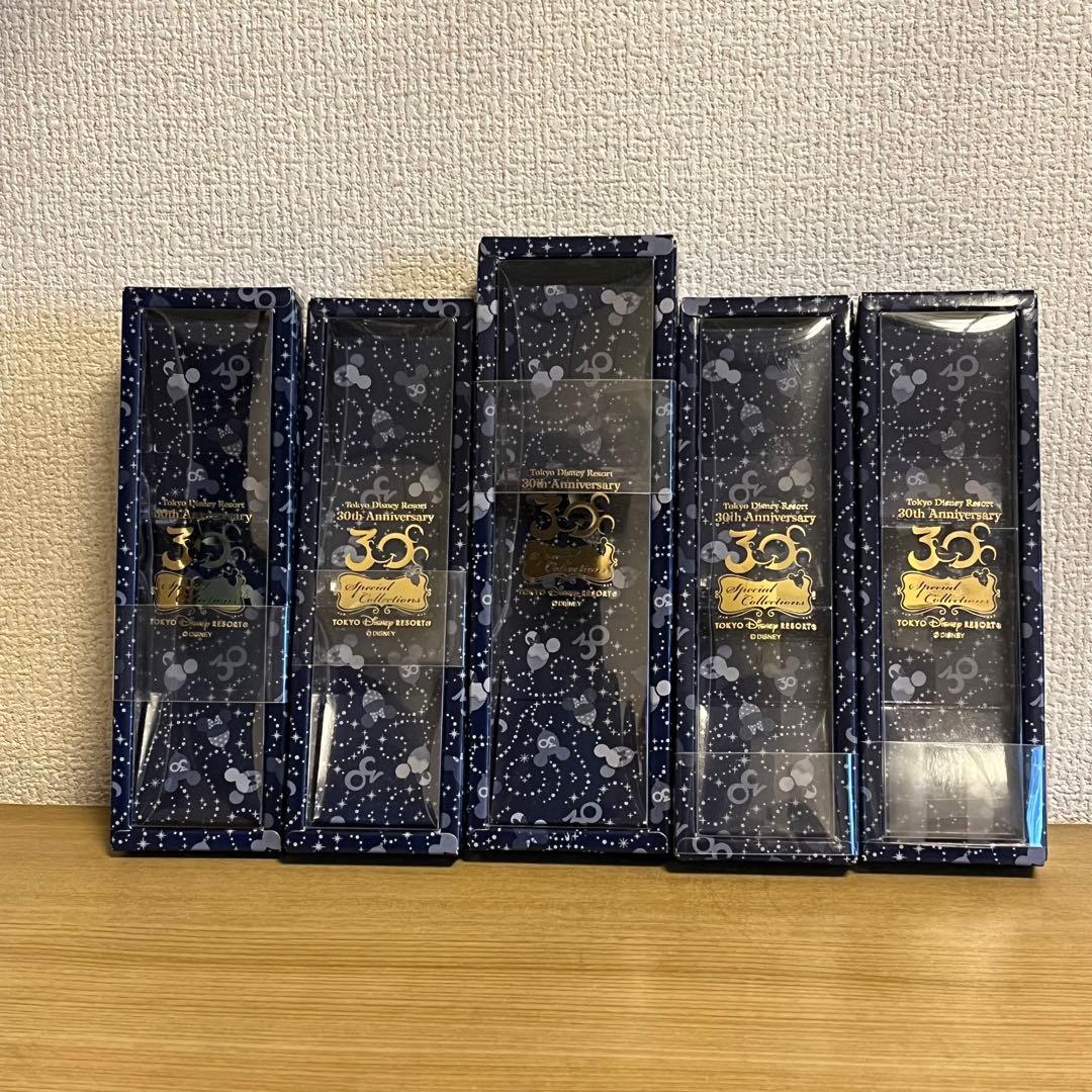 【ディズニーランド30周年スーベニアスプーン】 ケース付き　東京　TDL TDR