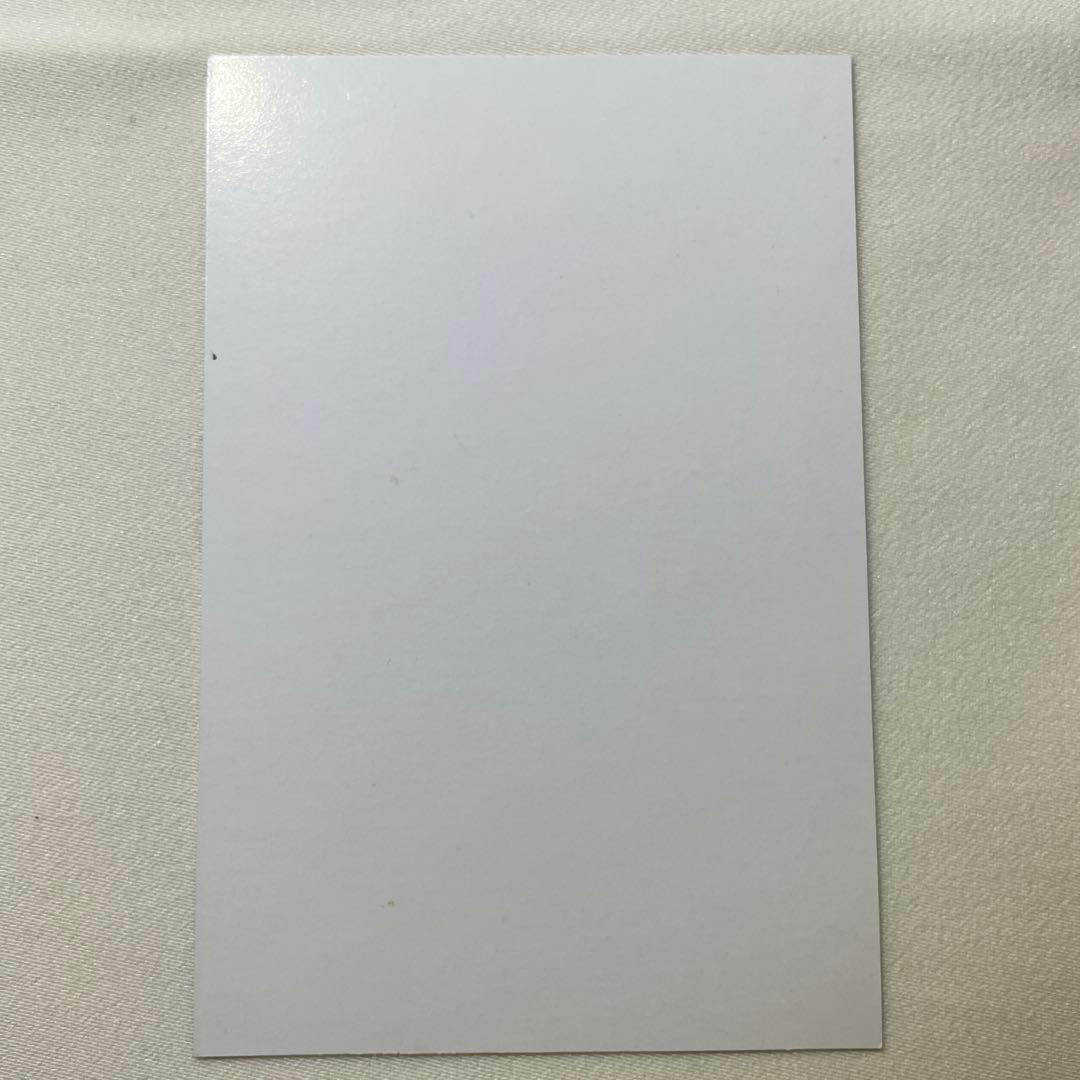 ジョジョ リアルペイントシート ボックス特典 DIO