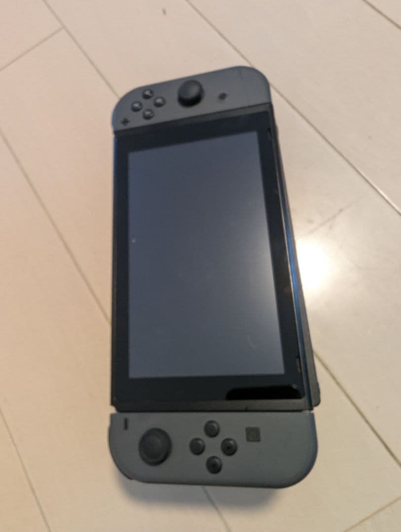 Nintendo Switch 本体 グレー ＋ ルイージマンション