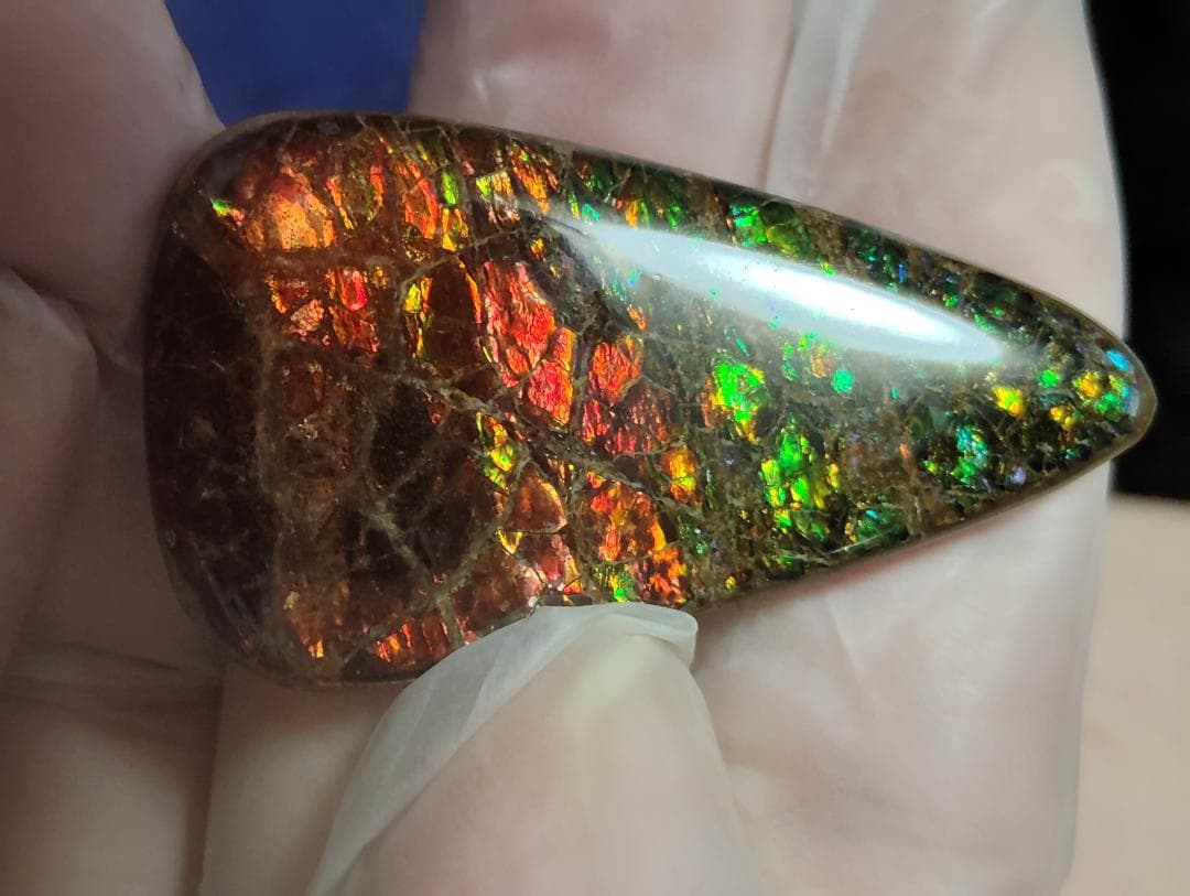 アンモライト・ルース　24-1411 45000