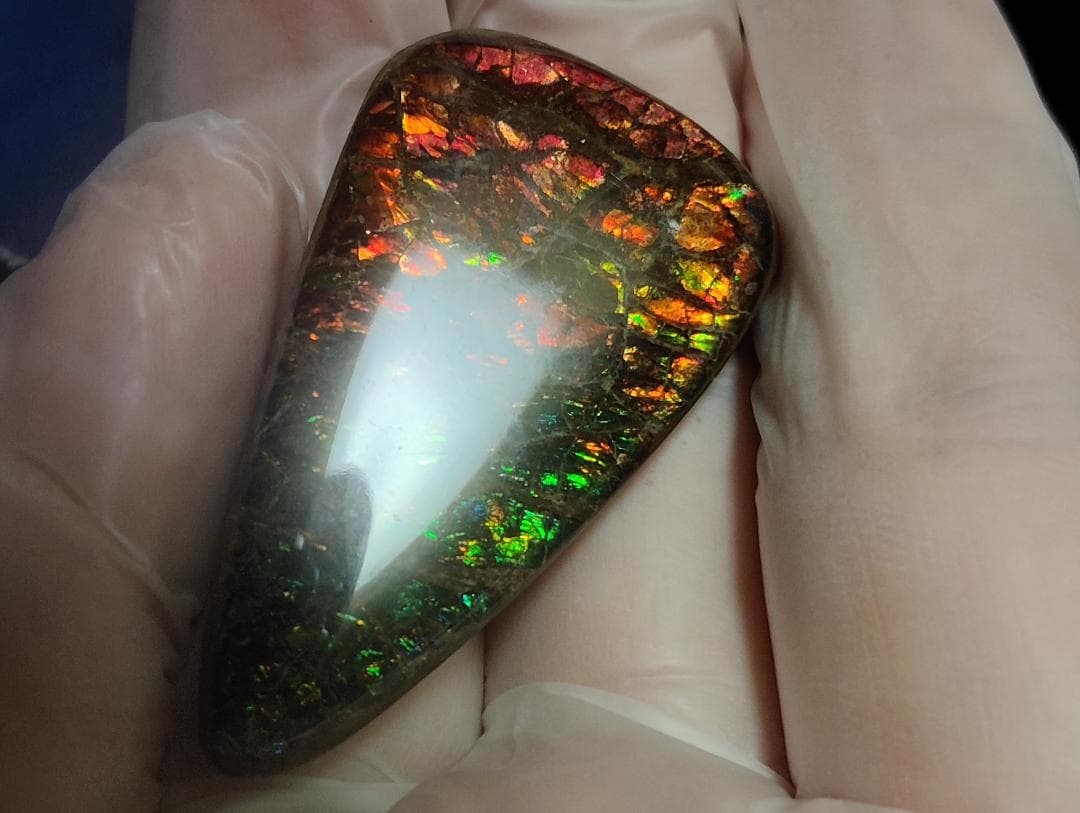 アンモライト・ルース　24-1411 45000