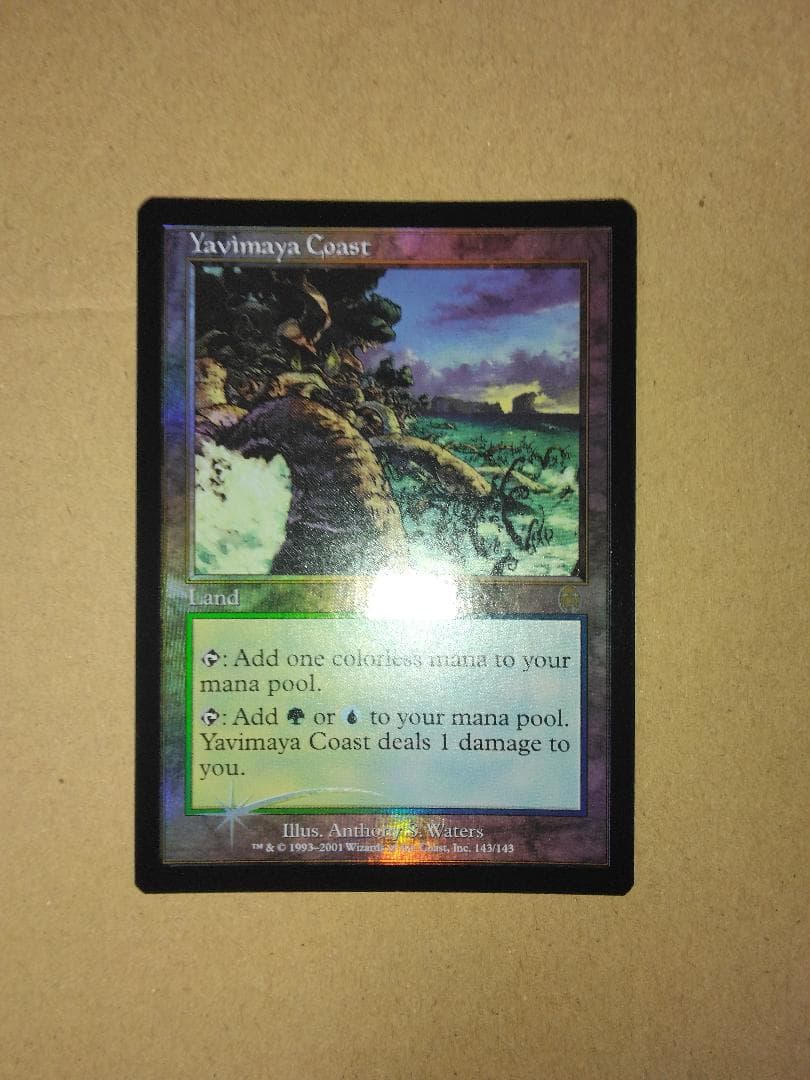 ヤヴィマヤの沿岸 Yavimaya Coast 英語 Foil APC MTG