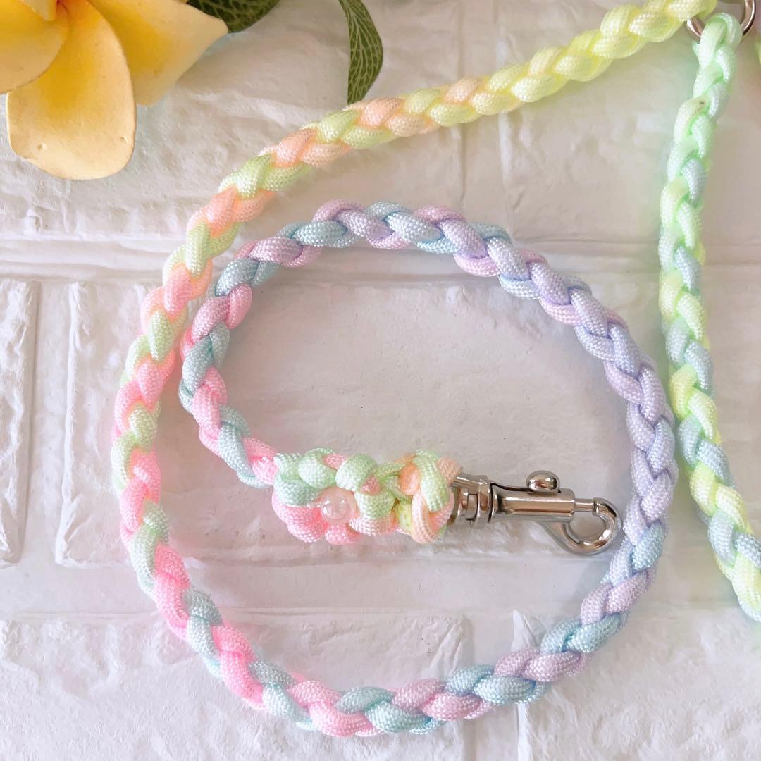 パラコードダブルリード　多頭用リード　パステルレインボー　No.0175