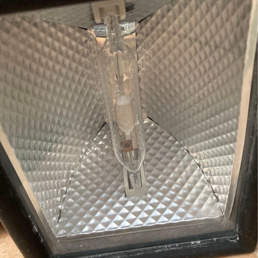 メタハラ　可動品　トカゲ　カメ　海水魚