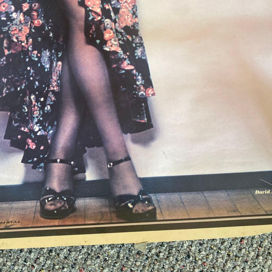 リンダ・ロンシュタット　Linda Ronstadt ポスター　美脚　パンスト