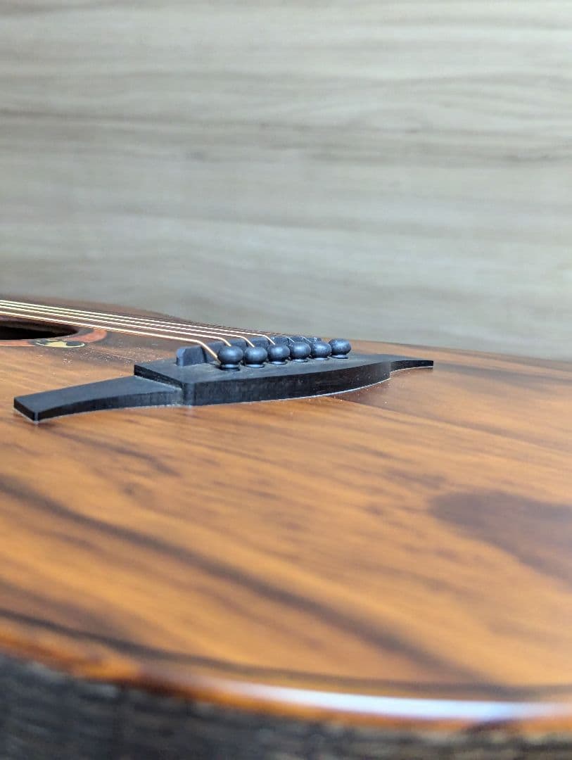 かんな LAG GUITARS SAUVAGE-PE パーラーギター