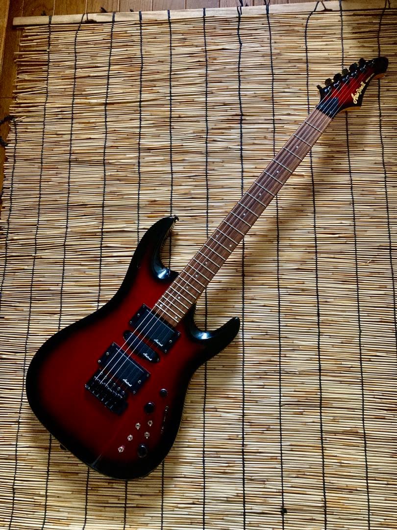 ☆他に類を見ない貴方だけの一本　AriaProⅡ MAGNA HSH ST