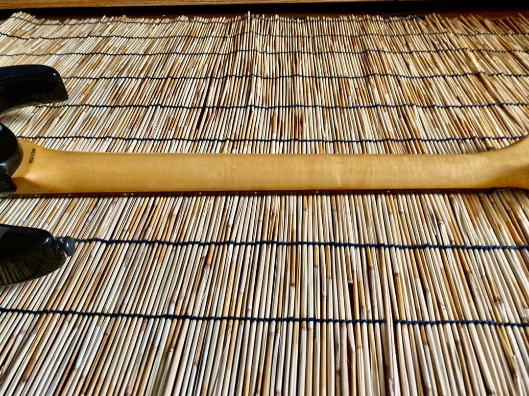 ☆他に類を見ない貴方だけの一本　AriaProⅡ MAGNA HSH ST