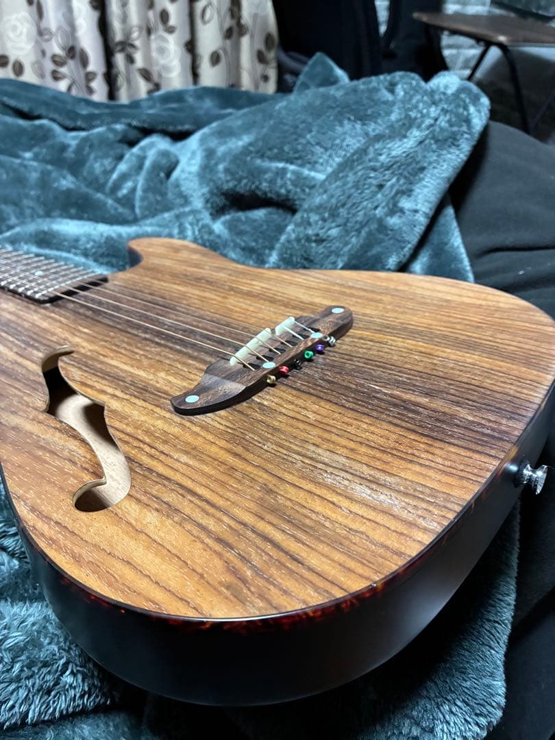 【美品】SCHECTER / Oriental Series OL-FL