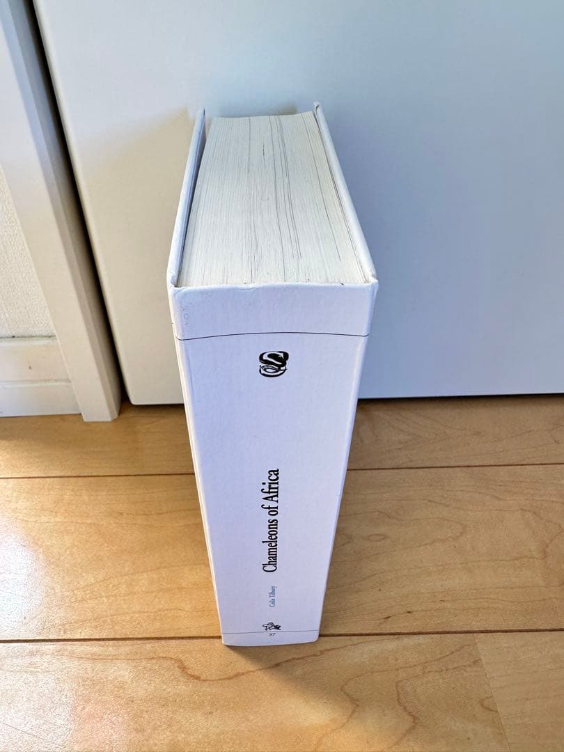 ニッタンプロフ確認　Chameleons of Africa