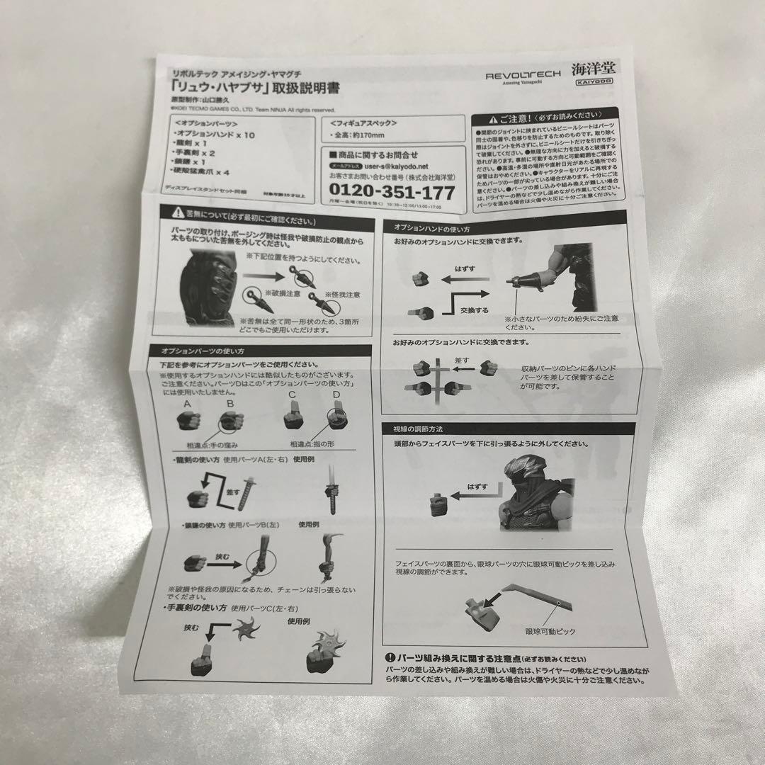 アメイジング・ヤマグチ リュウ・ハヤブサ 「NINJA GAIDEN」