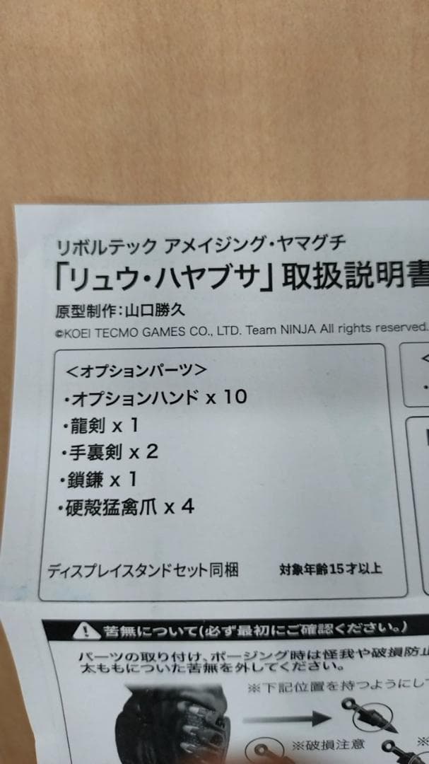 アメイジング・ヤマグチ リュウ・ハヤブサ 「NINJA GAIDEN」