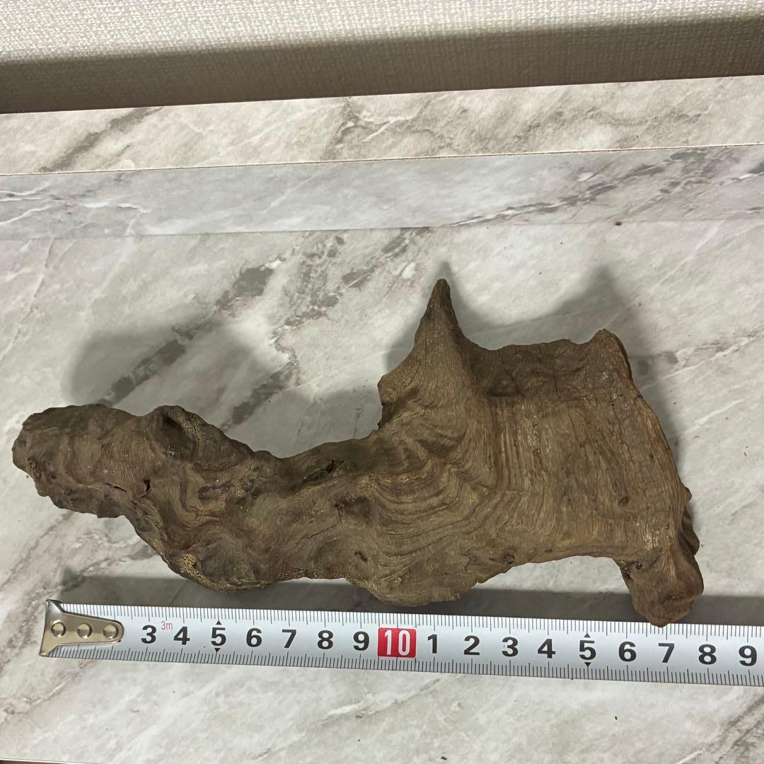 水槽用流木 自然な形状 熱帯魚　約18cm