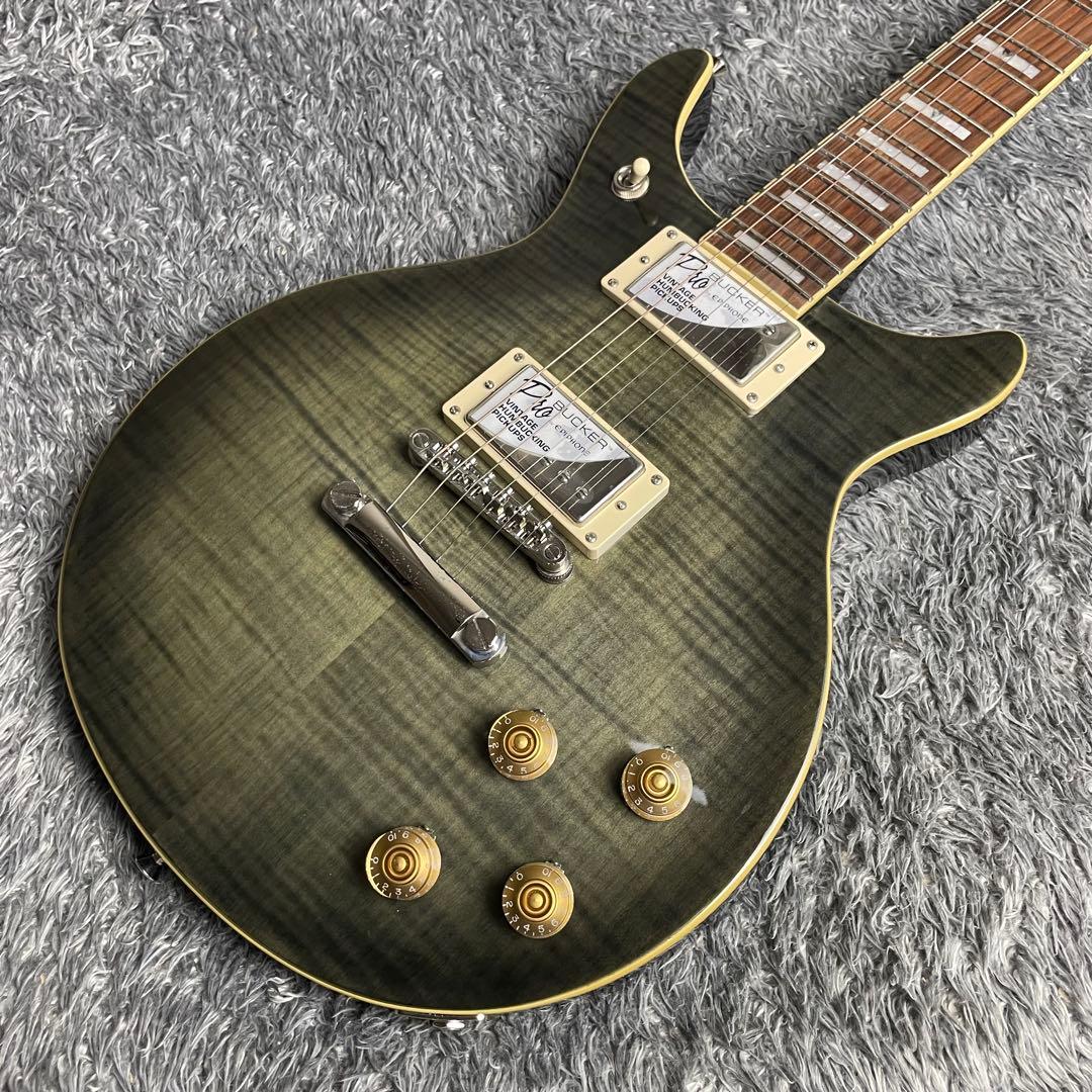 ギター Epiphone DC PRO