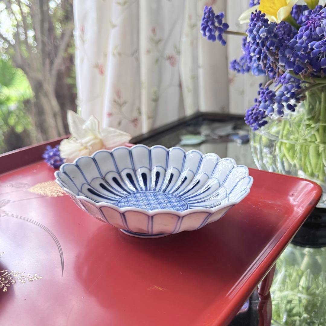 2154様感謝‼️清楚BLUE ‼️古伊万里すがすがしい花びらもりもり小判形菊皿5客