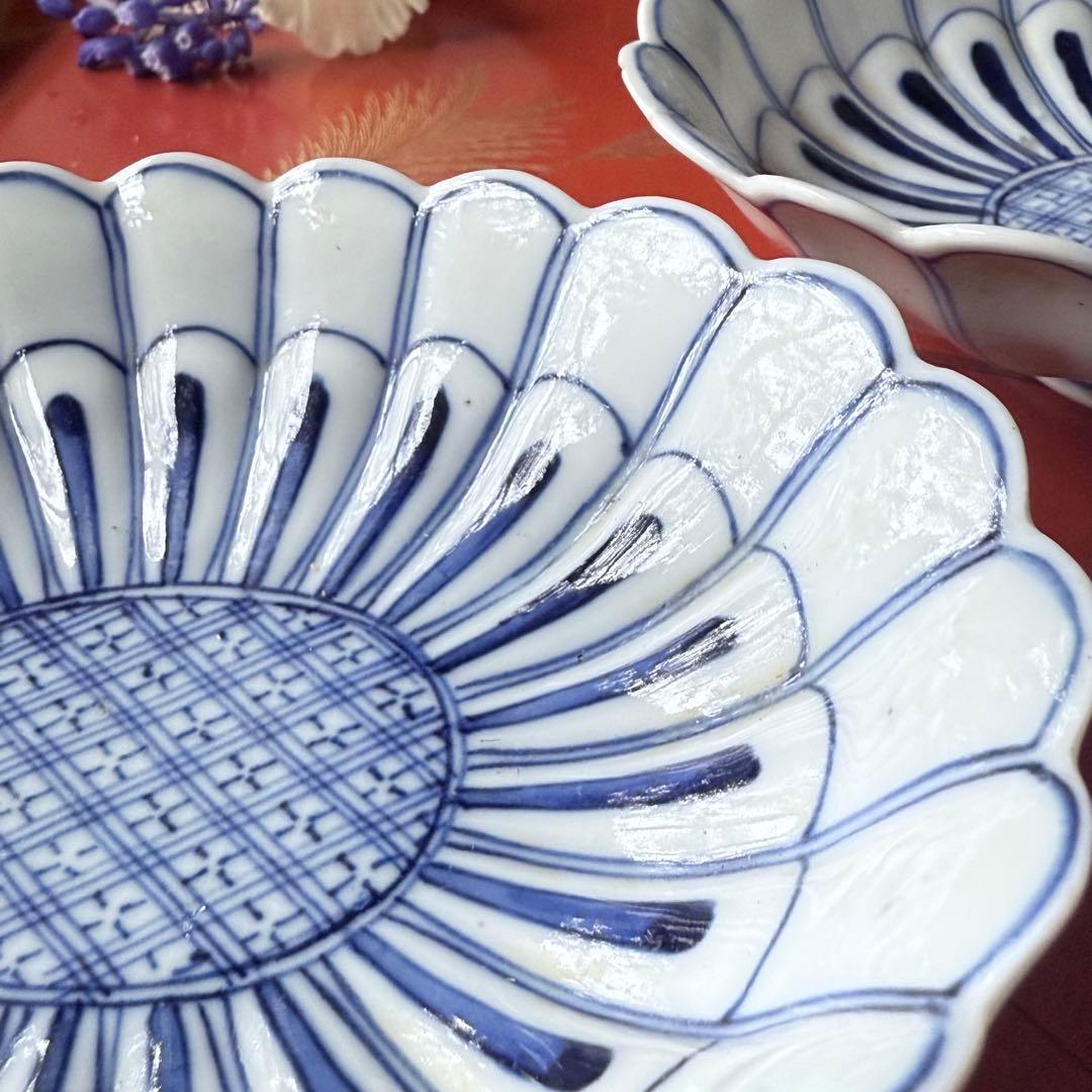 2154様感謝‼️清楚BLUE ‼️古伊万里すがすがしい花びらもりもり小判形菊皿5客