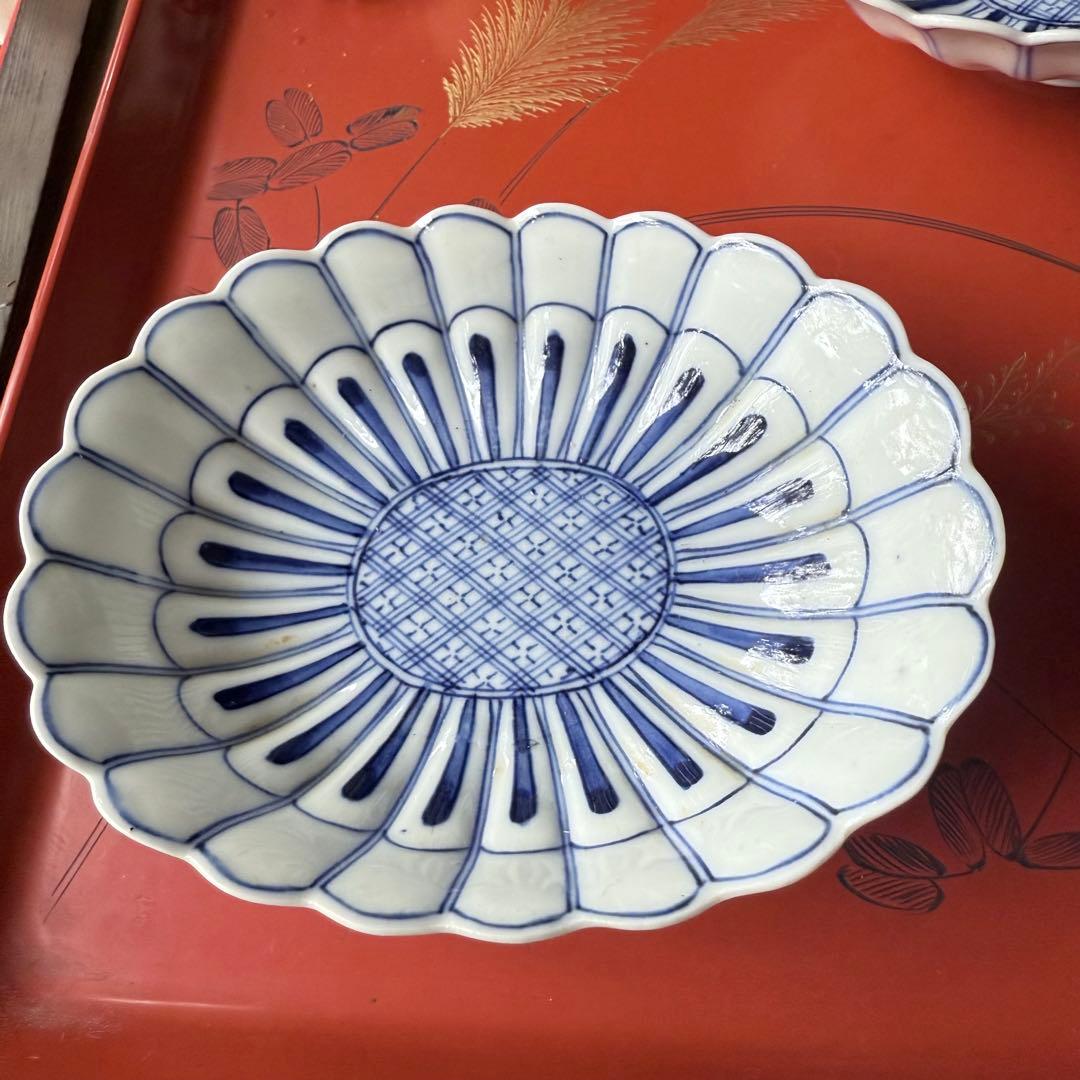 2154様感謝‼️清楚BLUE ‼️古伊万里すがすがしい花びらもりもり小判形菊皿5客