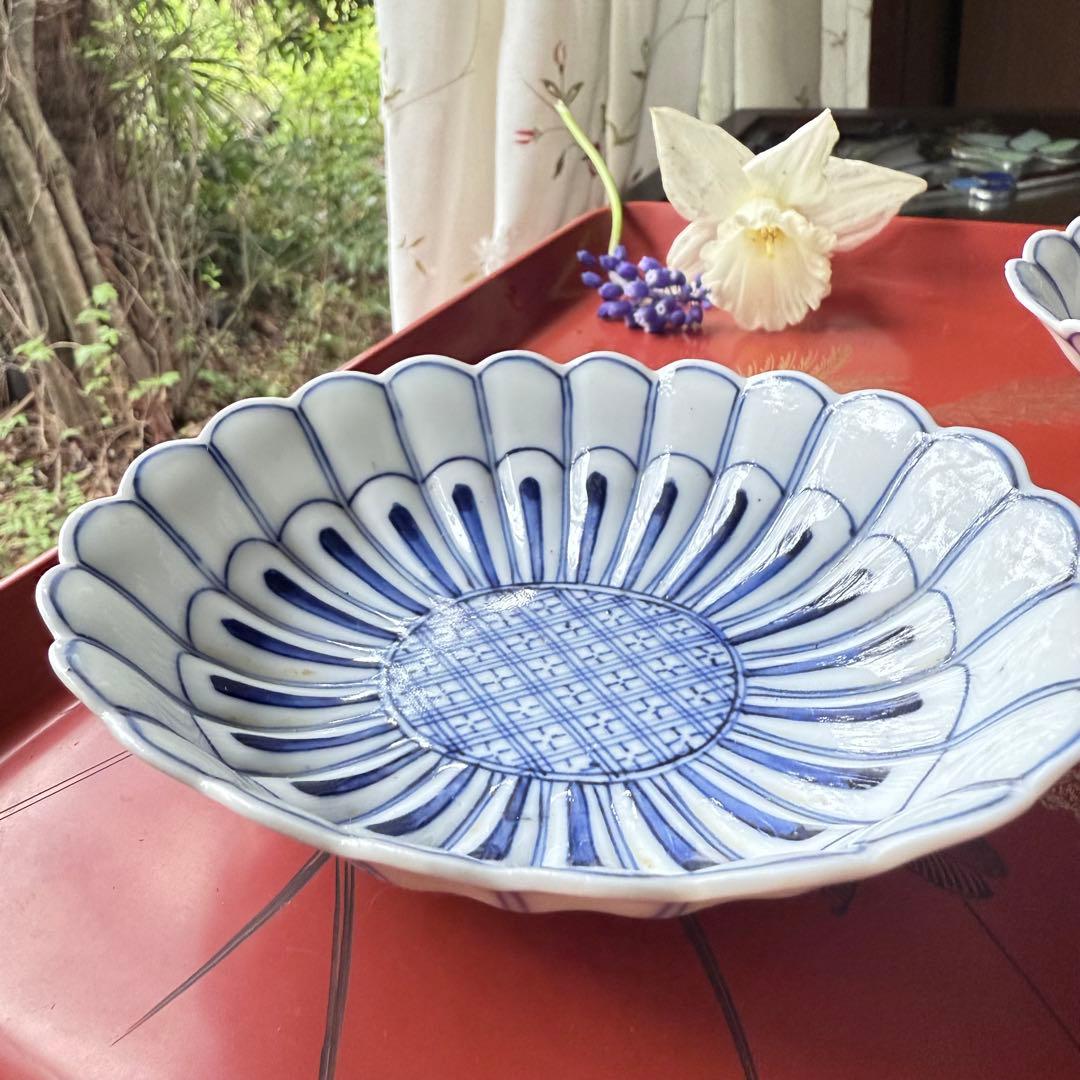 2154様感謝‼️清楚BLUE ‼️古伊万里すがすがしい花びらもりもり小判形菊皿5客