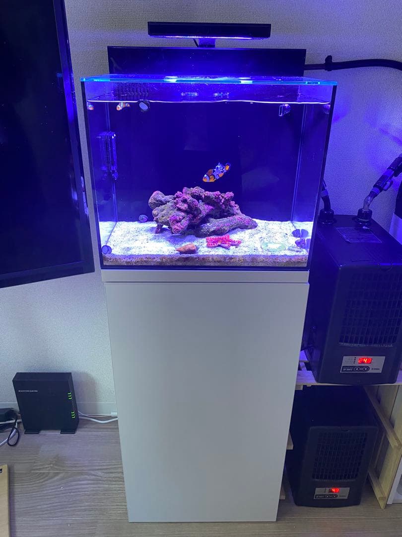 SHELL2 フルセット【引き取り限定】