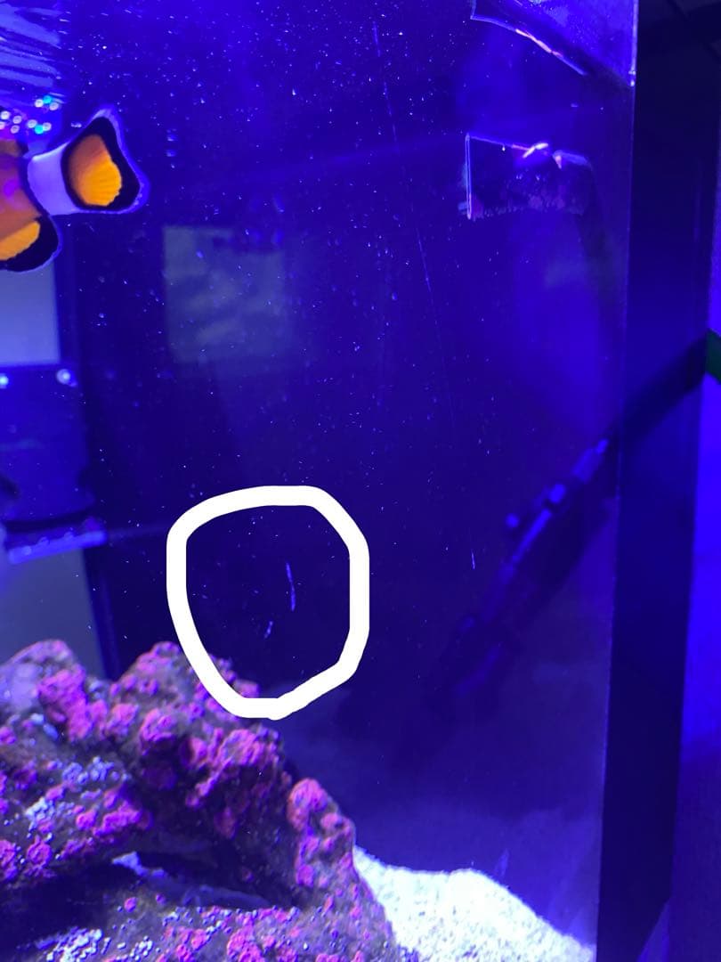 SHELL2 フルセット【引き取り限定】