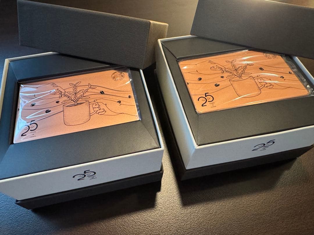 スタバカード　25周年　ステンレス仕様　【PIN未削り】