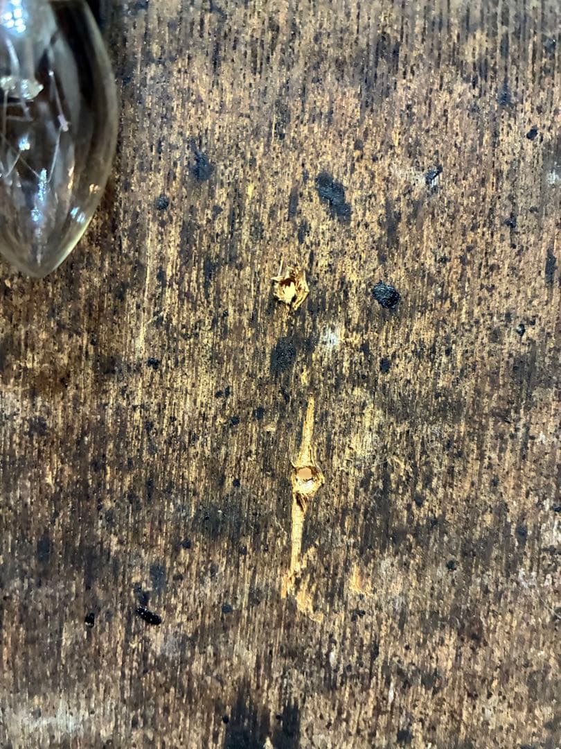 古道具 壁掛け ライト 置き型ライト 照明 古雑貨