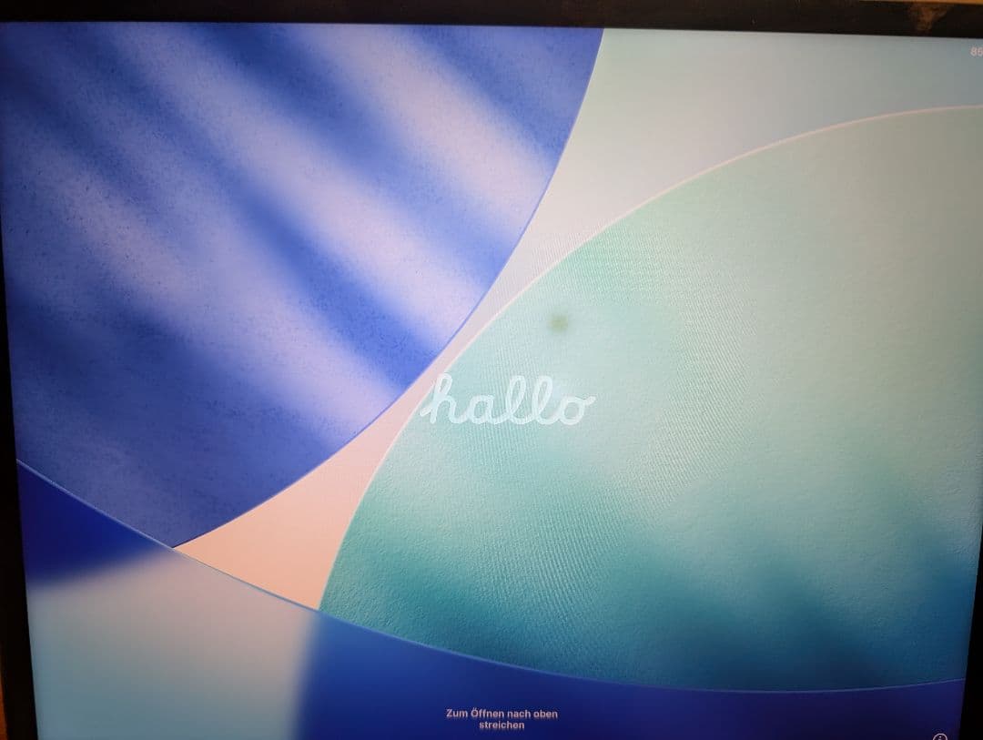 iPad Pro 12.9インチ (第5世代M1) ＋apple pencil2