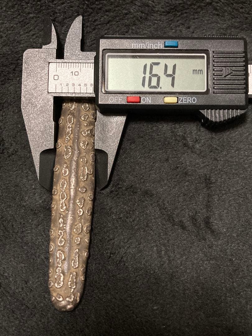 鼠鼠祟祟 様・ご予約▪️タイ 古銭 「 虎舌丁銀 」希少 レア