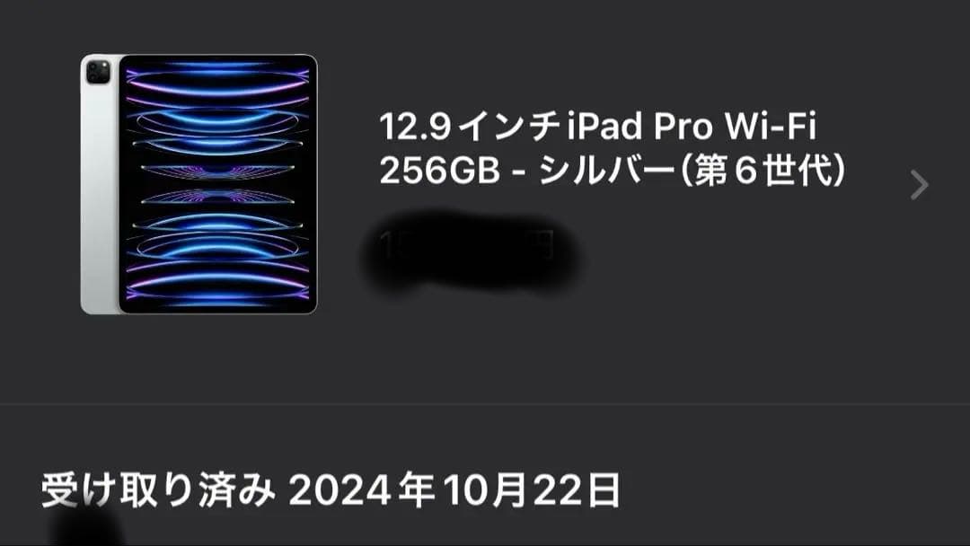 Ti　ipad pro 12.9インチ M2 256GB